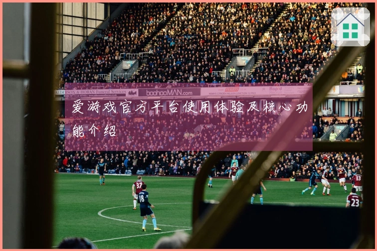 爱游戏官方平台使用体验及核心功能介绍