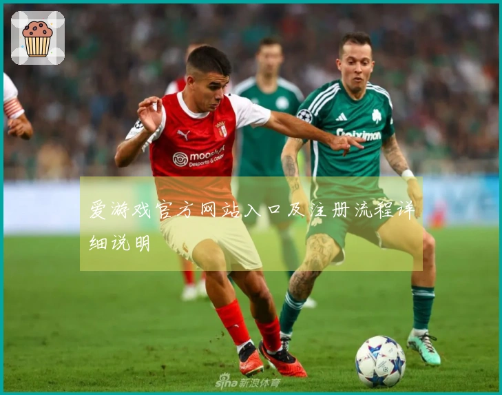爱游戏官方网站入口及注册流程详细说明